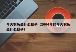 今天农历是什么日子（2004年的今天农历是什么日子）