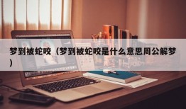 梦到被蛇咬（梦到被蛇咬是什么意思周公解梦）