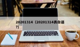 20201314（20201314表白语?）