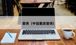 曾琪（中信集团曾琪）