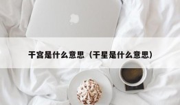 干宫是什么意思（干星是什么意思）