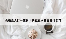 长驱直入打一生肖（长驱直入意思是什么?）