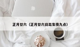 正月廿六（正月廿六日出生夜九点）