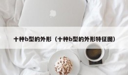 十种b型的外形（十种b型的外形特征图）