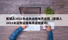 属猪人2021年运势运程每月运程（属猪人2021年运势运程每月运程属鸡）