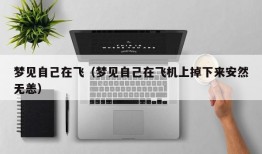 梦见自己在飞（梦见自己在飞机上掉下来安然无恙）