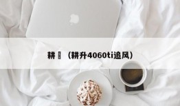 耕昇（耕升4060ti追风）