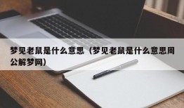 梦见老鼠是什么意思（梦见老鼠是什么意思周公解梦网）