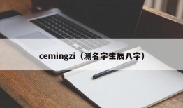 cemingzi（测名字生辰八字）