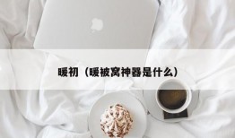 暖初（暖被窝神器是什么）