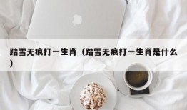 踏雪无痕打一生肖（踏雪无痕打一生肖是什么）