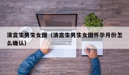 清宫生男生女图（清宫生男生女图怀孕月份怎么确认）