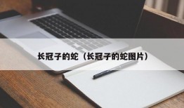 长冠子的蛇（长冠子的蛇图片）