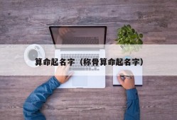 算命起名字（称骨算命起名字）