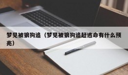 梦见被狼狗追（梦见被狼狗追赶逃命有什么预兆）