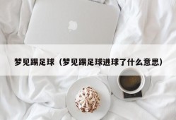 梦见踢足球（梦见踢足球进球了什么意思）