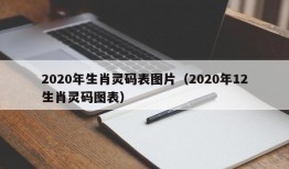 2020年生肖灵码表图片（2020年12生肖灵码图表）