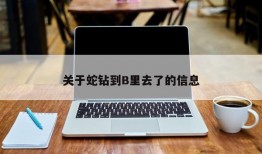 关于蛇钻到B里去了的信息