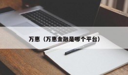 万惠（万惠金融是哪个平台）