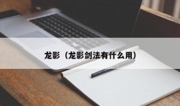 龙影（龙影剑法有什么用）