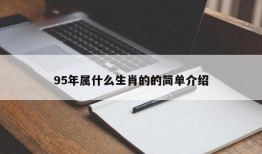 95年属什么生肖的的简单介绍