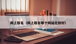 网上取名（网上取名哪个网站比较好）