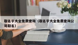 取名字大全免费查询（取名字大全免费查询公司取名）