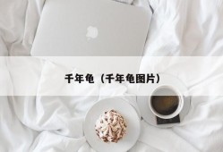 千年龟（千年龟图片）