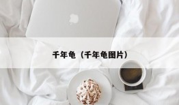 千年龟（千年龟图片）