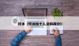 何沐（何沐阳个人资料简介）