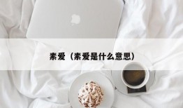 素爱（素爱是什么意思）