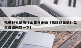 孤魂野鬼是指什么生肖正确（孤魂野鬼是什么生肖请回答一下）