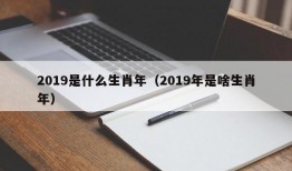 2019是什么生肖年（2019年是啥生肖年）