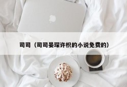 司司（司司晏琛许枳的小说免费的）