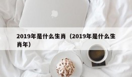 2019年是什么生肖（2019年是什么生肖年）