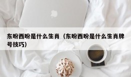 东盼西盼是什么生肖（东盼西盼是什么生肖牌号技巧）