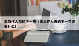 生当作人杰的下一句（生当作人杰的下一句诗是什么）