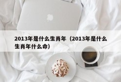 2013年是什么生肖年（2013年是什么生肖年什么命）