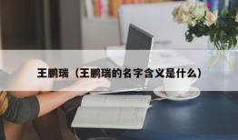 王鹏瑞（王鹏瑞的名字含义是什么）