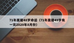 71年属猪48岁命运（71年属猪49岁有一灾2020年8月份）