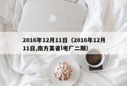 2016年12月11日（2016年12月11日,南方某省l电厂二期）