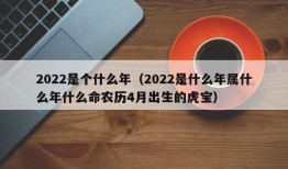 2022是个什么年（2022是什么年属什么年什么命农历4月出生的虎宝）