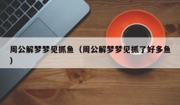 周公解梦梦见抓鱼（周公解梦梦见抓了好多鱼）