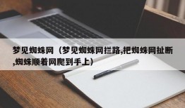 梦见蜘蛛网（梦见蜘蛛网拦路,把蜘蛛网扯断,蜘蛛顺着网爬到手上）