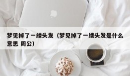 梦见掉了一缕头发（梦见掉了一缕头发是什么意思 周公）