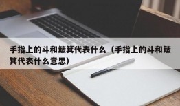 手指上的斗和簸箕代表什么（手指上的斗和簸箕代表什么意思）