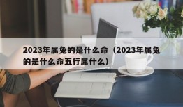 2023年属兔的是什么命（2023年属兔的是什么命五行属什么）