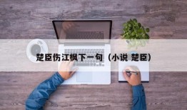 楚臣伤江枫下一句（小说 楚臣）