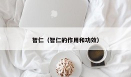 智仁（智仁的作用和功效）