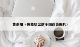 黄燕明（黄燕明出席全国两会图片）